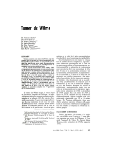 Tumor de Wilms