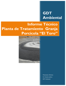 GDT Ambiental Informe Técnico Planta de Tratamiento Granja