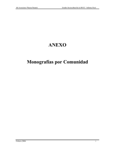 ANEXO 1 Informe Final - Monografias X