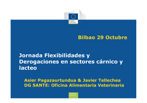Flexibilidades Bilbao Comision Europea