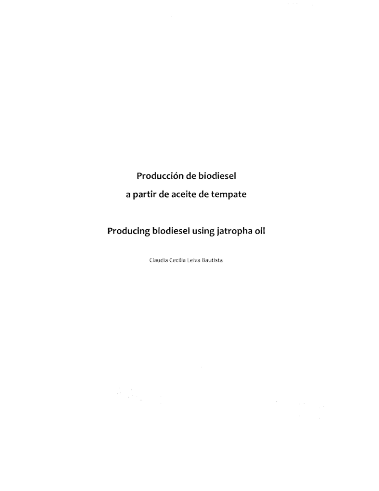 Producci n De Biodicel A Partir De Aceite De Tempate