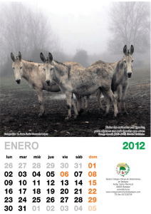 Calendario 2012 - Colegio Oficial de Veterinarios de Badajoz