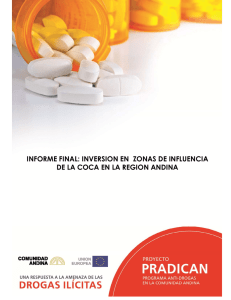 informe final: inversion en zonas de influencia de la coca en la