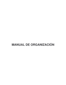 manual de organización - normateca interna de aeropuertos y