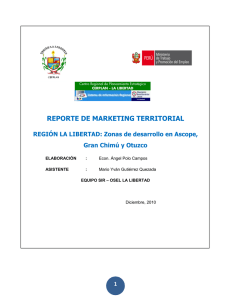 Reporte de marketing territorial Nº 01