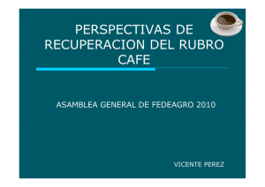 PERSPECTIVAS DE RECUPERACION DEL RUBRO CAFE