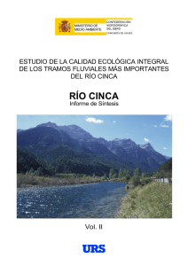 Río Cinca. Informe de síntesis