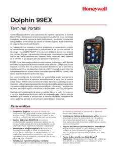 Dolphin 99EX