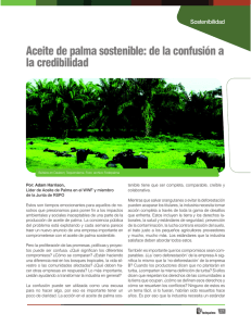Aceite de palma sostenible: de la confusión a la credibilidad