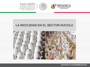 Salud y Producción Avícola