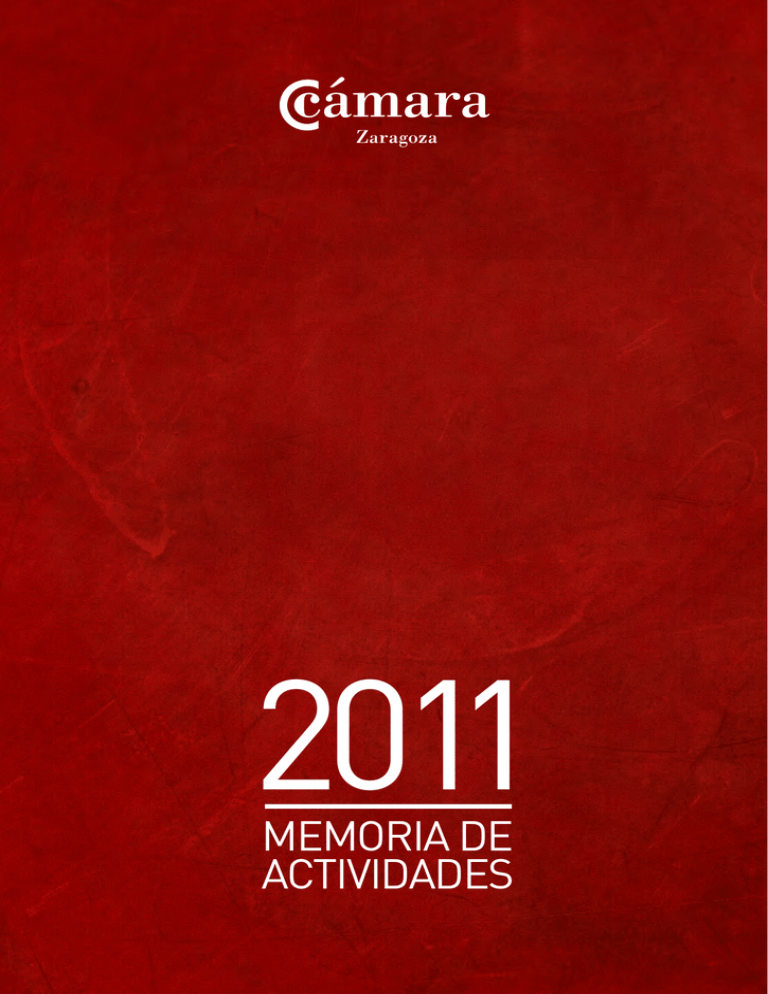 Memoria De Actividades