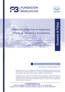 Shale oil y shale gas