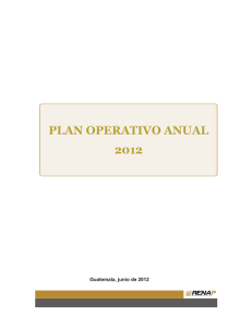 plan operativo anual 2012