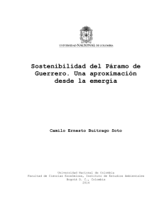 Sostenibilidad del Páramo de Guerrero. Una aproximación desde la