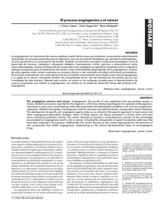 Texto Completo(PDF-155 KB)