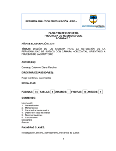 RAE No - Universidad Católica de Colombia