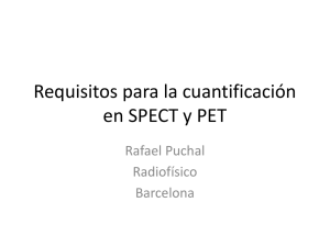 pdf Puchal_Rafael_