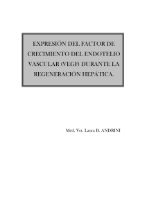 Expresion del factor de crecimiento del endotelio vascular (VEGF)