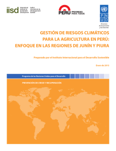 Climate Risk Management for Agriculture in Peru: Focus on the