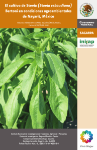 El cultivo de Stevia - Biblioteca digital INIFAP