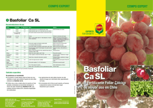 Basfoliar CaSL