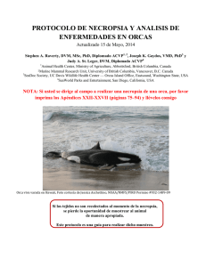protocolo de necropsia y analisis de enfermedades en orcas