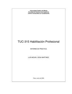 TUC-315 Habilitación Profesional