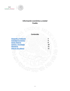 Información económica y estatal Puebla Contenido