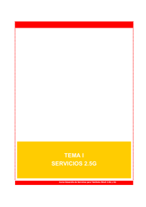 TEMA I SERVICIOS 2.5G