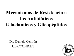 Mecanismos de Resistencia a Antibióticos