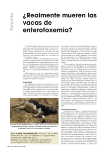 Temario Enterotoxemia_Maquetación 1
