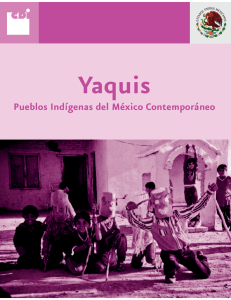 Pueblos Indígenas del México Contemporáneo