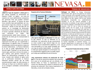 2012 | Marzo | 13 Una nota sobre gas de esquisto o “shale