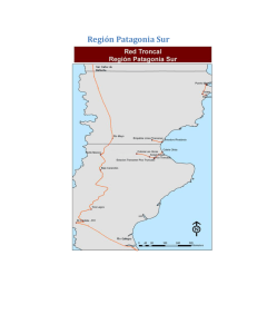 Anexo 7. Mapa REFEFO Región Patagonia Sur