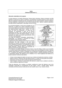 PAPA - Producción Vegetal III - Horticultura