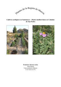 Cultivos ecológicos en Santomera, Cañadas de San Pedro