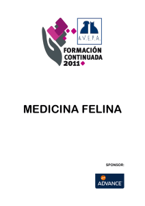 medicina felina_proceeding