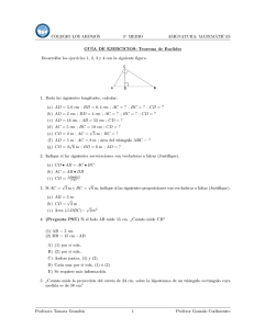 GUÍA DE EJERCICIOS: Teorema de Euclides
