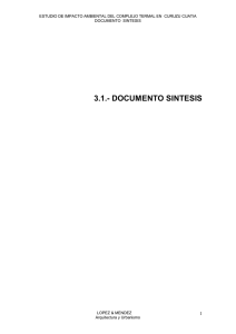 3.1.- documento sintesis