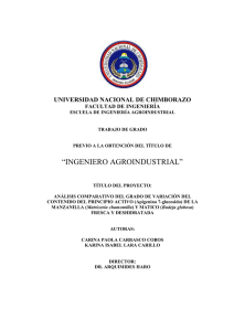ingeniero agroindustrial - Repositorio Digital UNACH