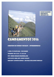 Plan de Campamentos. Plazo hasta 15 de mayo de 2016