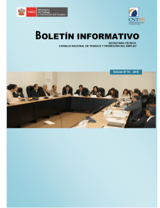 Boletín Informátivo N° 70 - (Diciembre 2010).