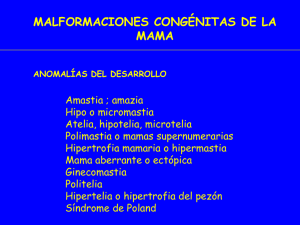 MALFORMACIONES CONGÉNITAS DE LA MAMA