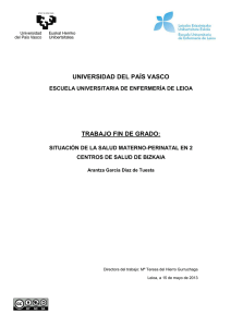 universidad del pa&iacute;s vasco trabajo fin de grado