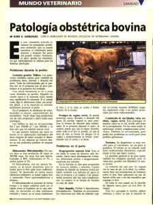 Patología obstétrica bovina