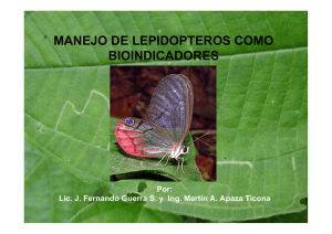 manejo de lepidopteros como bioindicadores