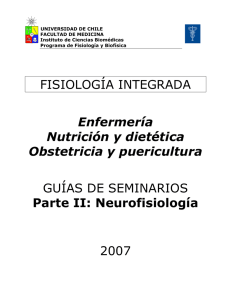Guías Seminarios Neurofisiología - U