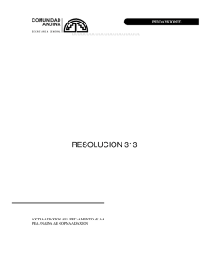 resolucion 313