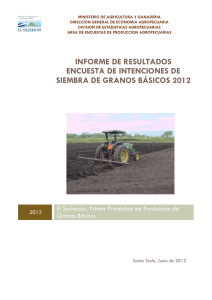 informe de encuesta de intenciones de siembra de granos basicos