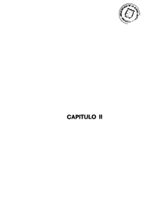 CAPITULO II
